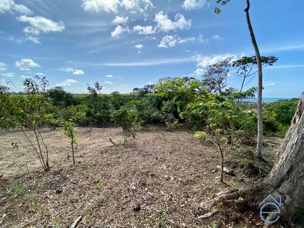 Lote à venda no Alto da Barra em Barra de Camaragibe, Rota Milagres, 540m2. - Foto 4
