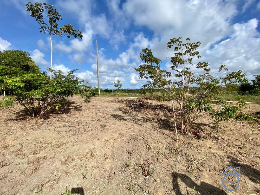 Lote à venda no Alto da Barra em Barra de Camaragibe, Rota Milagres, 540m2. - Foto 5