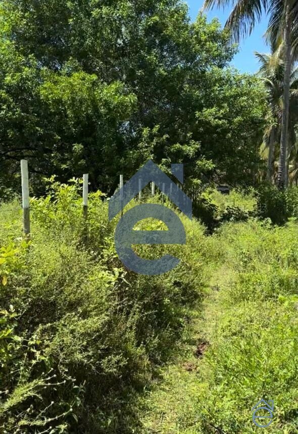 Terreno em área litoranea de São Miguel dos Milagres, Alagoas, 5.850m2